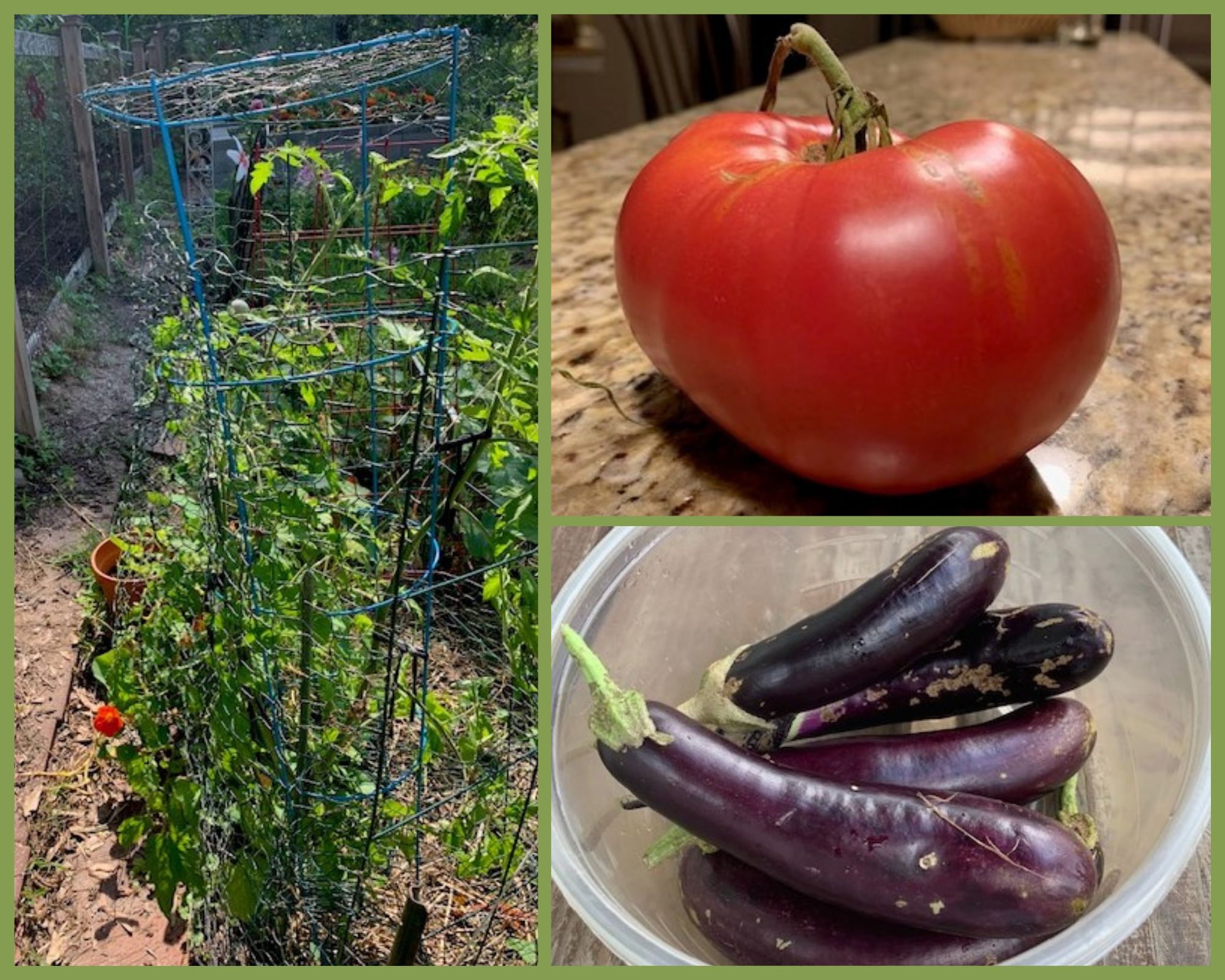 GardenCollage GardenCollage