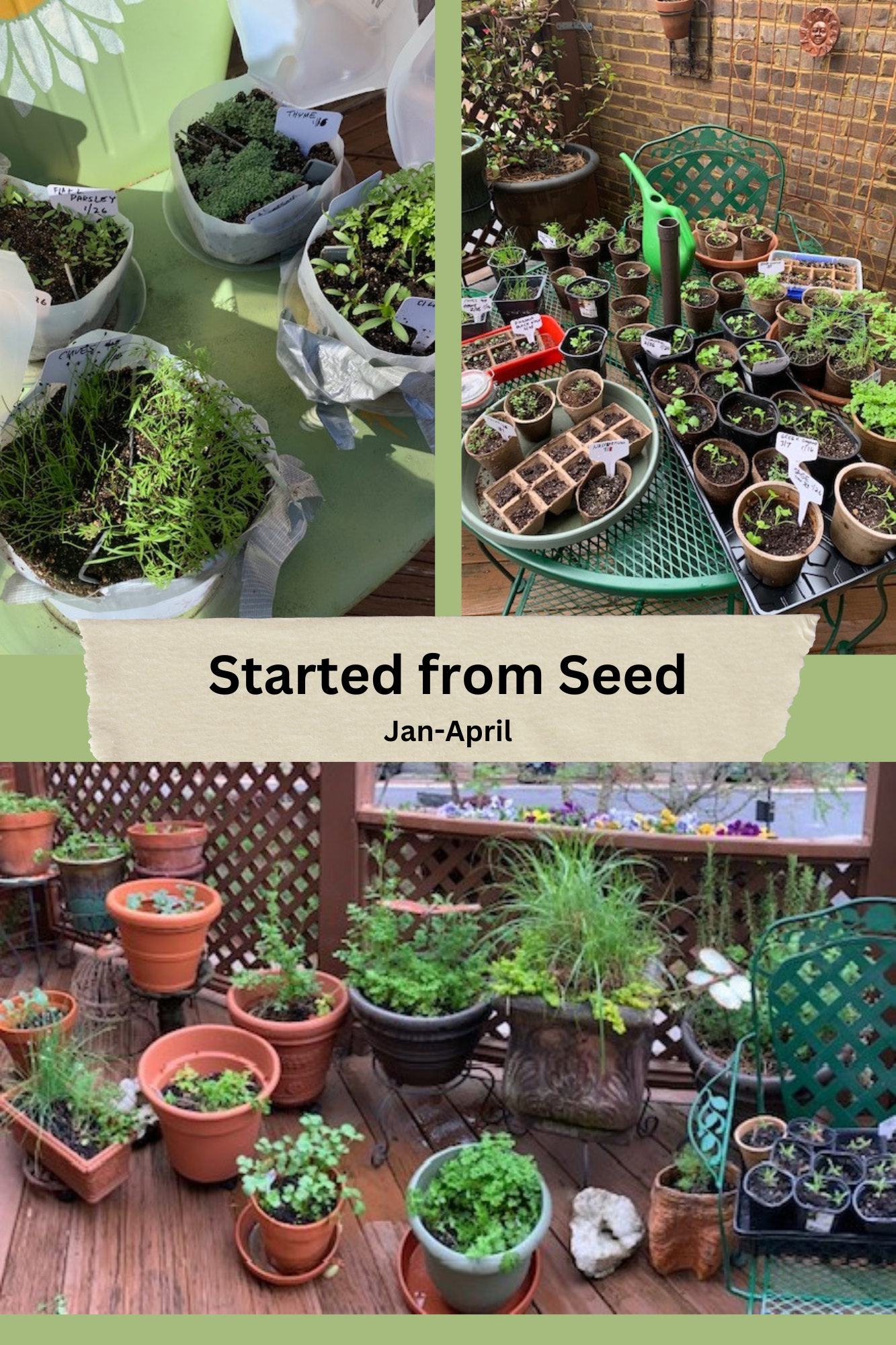StartedFromSeed StartedFromSeed