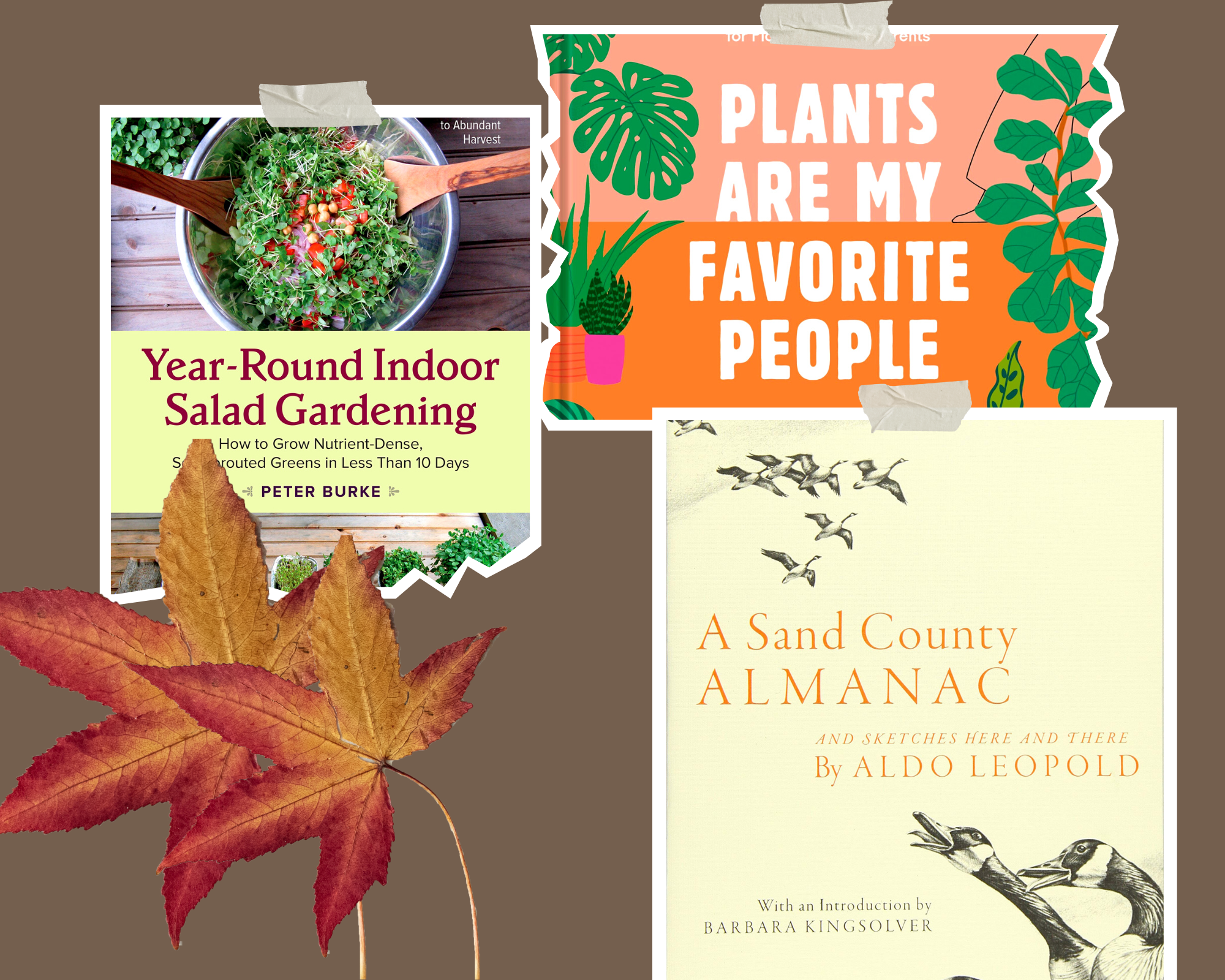 Untitled design (8) Untitled design (8)