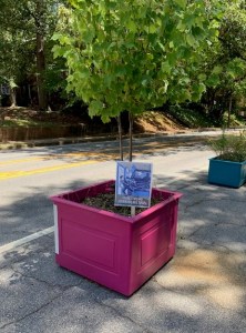 Thanksfornotingfor_running Thanksfornotingfor_running