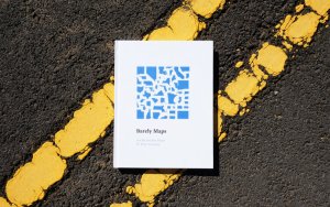 Bookcover_barely Bookcover_barely