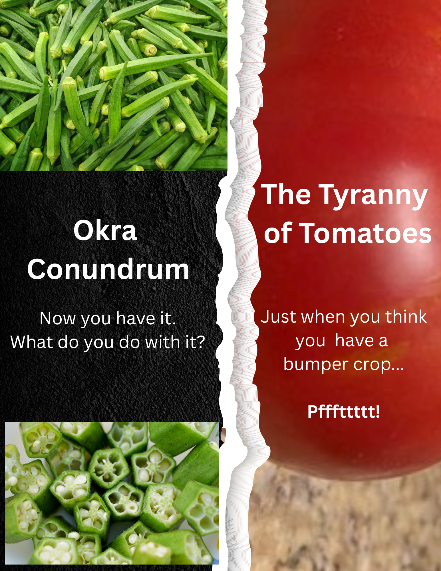 Black and White Grunge Nature Travel Magazine Black and White Grunge Nature Travel Magazine