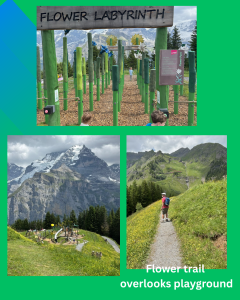 Flowertrailcollage Flowertrailcollage