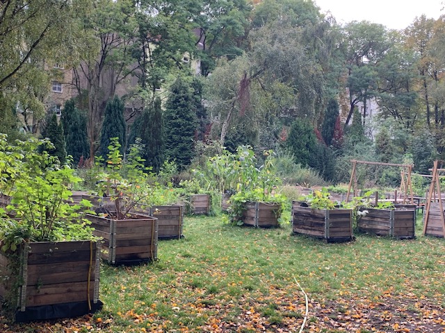 Neukoln_garden_Beds Neukoln_garden_Beds