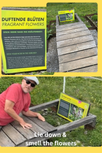 LiedownSmellflowers LiedownSmellflowers