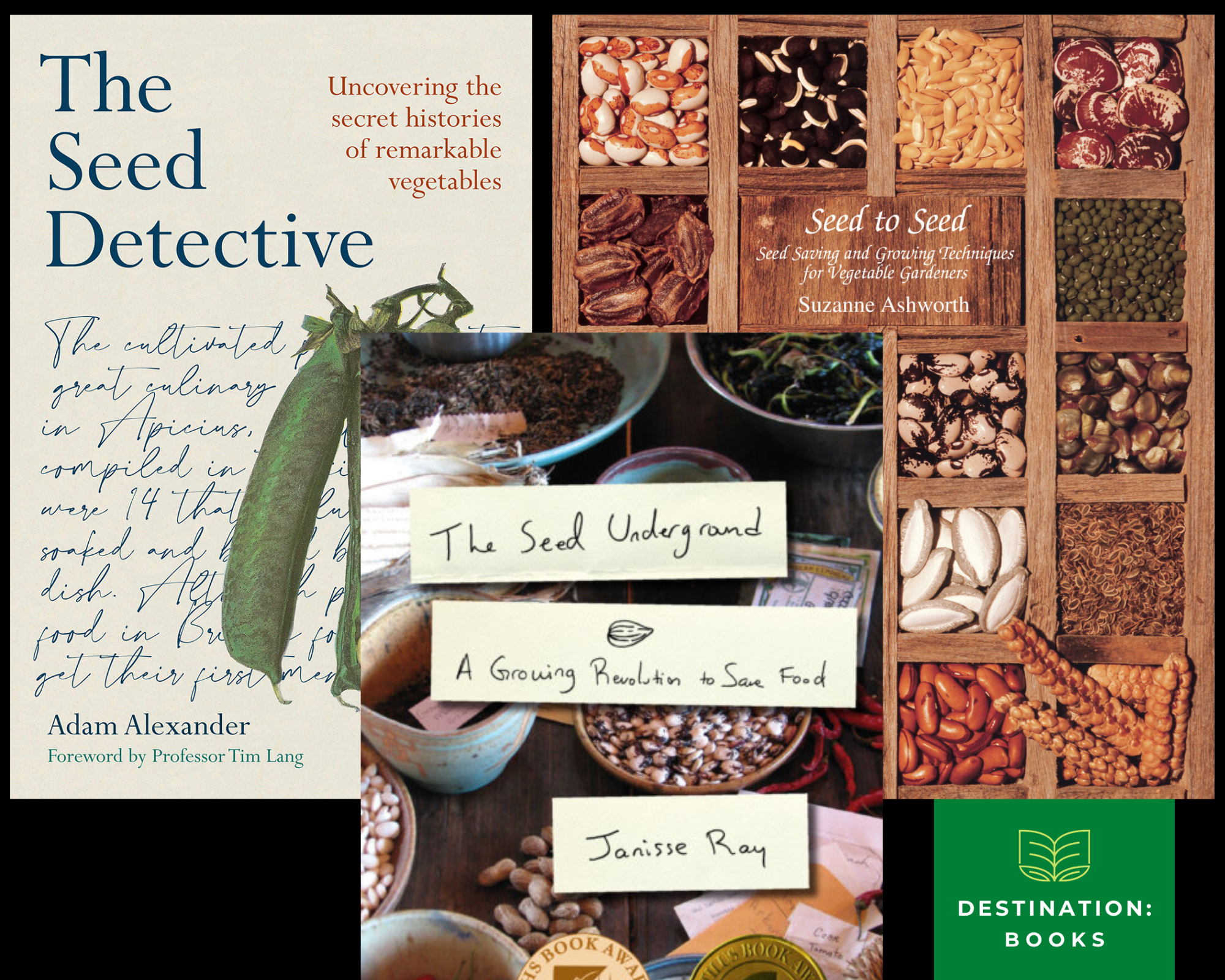 Destination3Seeds Destination3Seeds