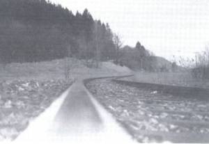 Sebald-The-Emigrants