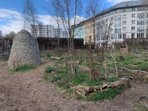 Prince_beehive Prince_beehive